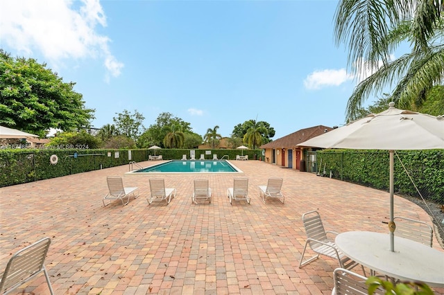 view of pool featuring a patio area