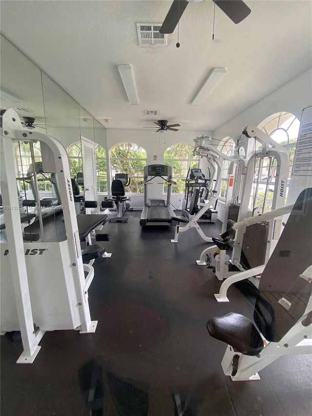 exercise room with a wealth of natural light, ceiling fan, and a textured ceiling