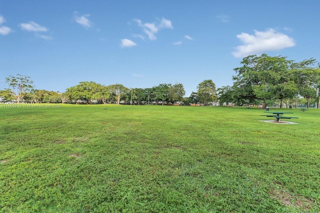 view of property's community with a yard