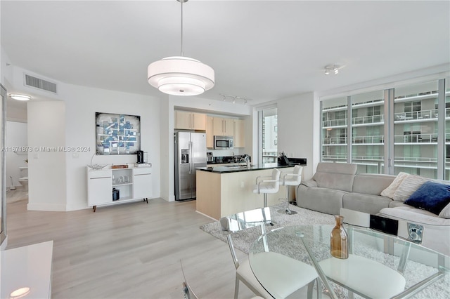 living room featuring sink and light hardwood / wood-style floors