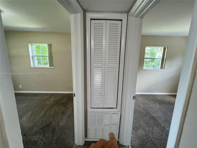 hall featuring carpet floors and a healthy amount of sunlight