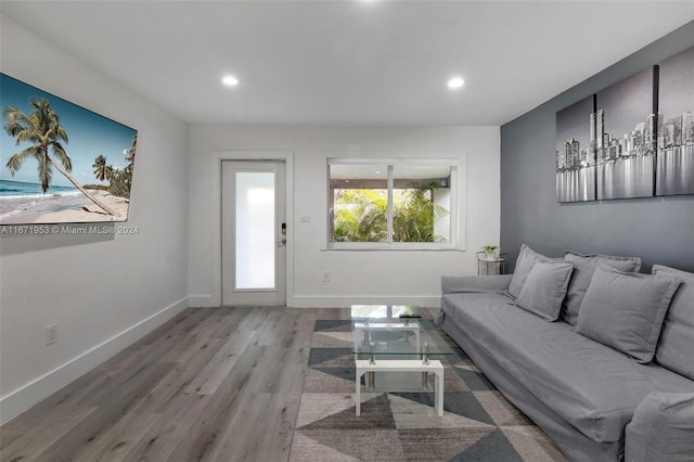 living room with hardwood / wood-style floors