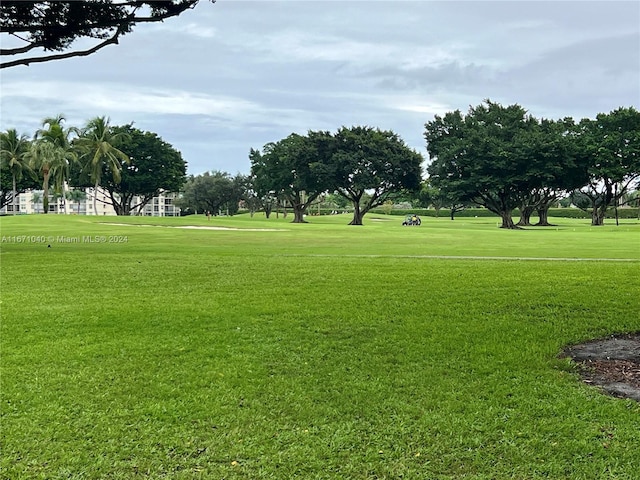 view of home's community featuring a yard