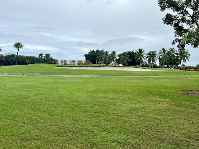 view of community with a lawn