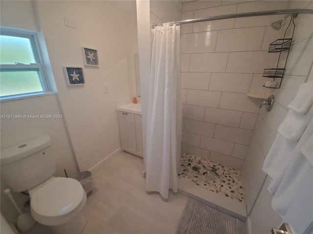 bathroom featuring toilet, a shower with curtain, and vanity