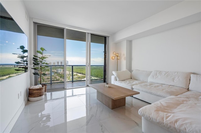 living room featuring expansive windows