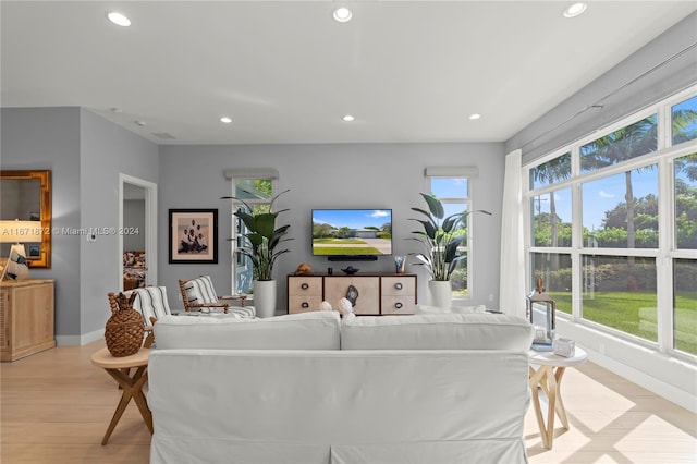 living room featuring light hardwood / wood-style floors and a healthy amount of sunlight