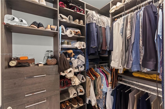 view of spacious closet