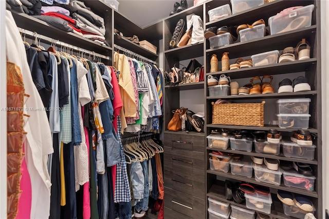 view of walk in closet