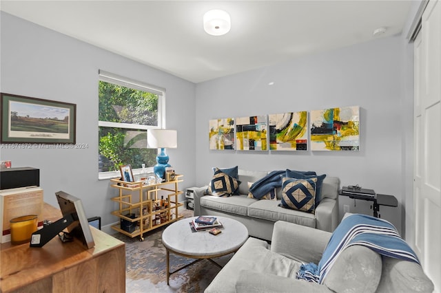 living room with wood-type flooring