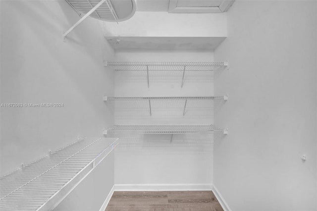 spacious closet featuring wood-type flooring