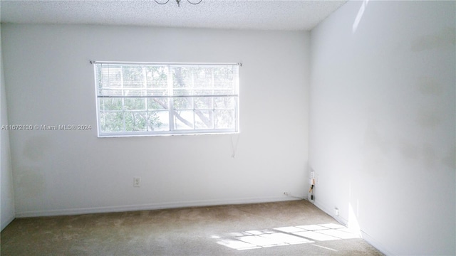 unfurnished room featuring carpet and a textured ceiling