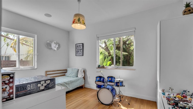 bedroom with light hardwood / wood-style flooring and multiple windows