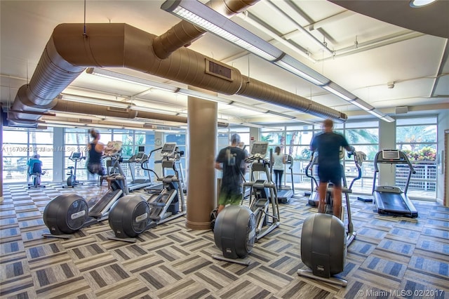 exercise room featuring carpet flooring