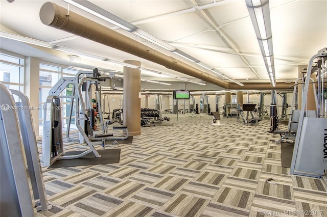 exercise room featuring carpet flooring