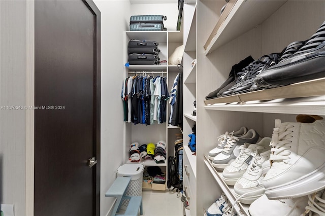 view of walk in closet