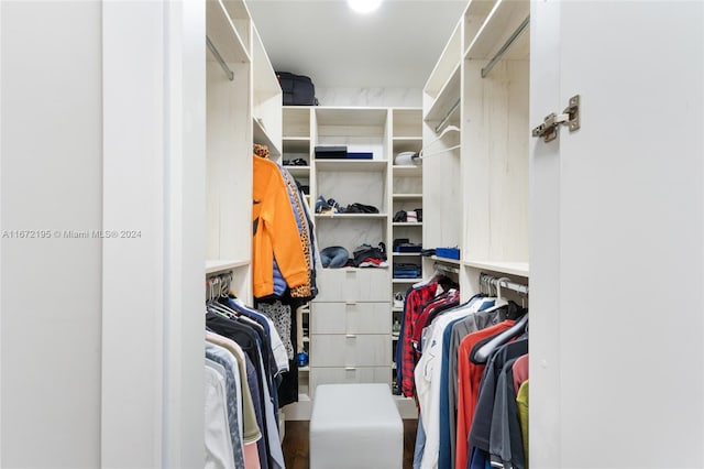 view of walk in closet