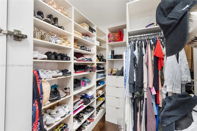 spacious closet with dark hardwood / wood-style floors