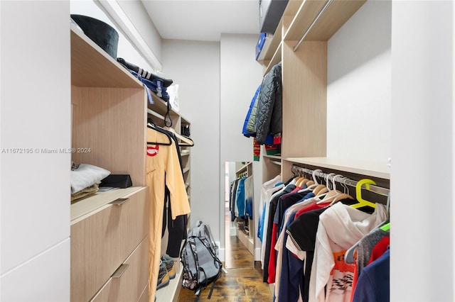 spacious closet with dark hardwood / wood-style flooring