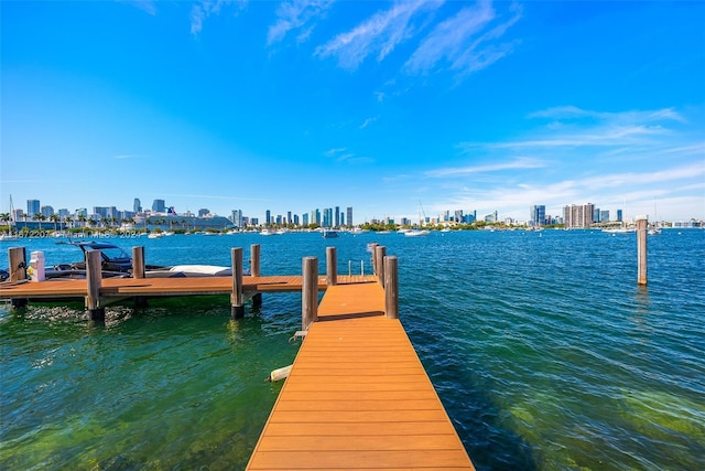 dock area with a water view