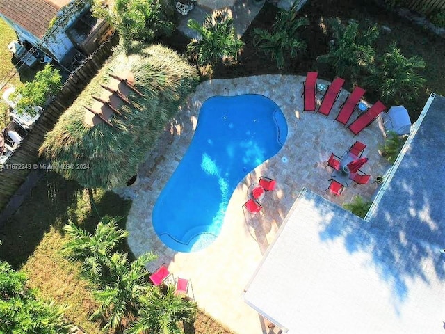 view of pool featuring a patio