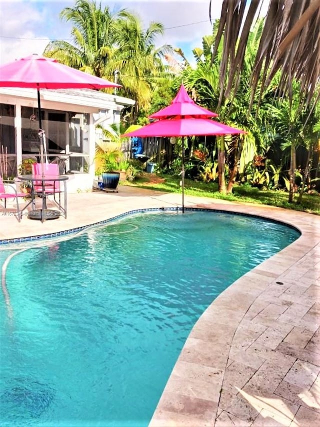 view of swimming pool with a patio area