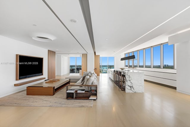 living room featuring light hardwood / wood-style flooring and a healthy amount of sunlight