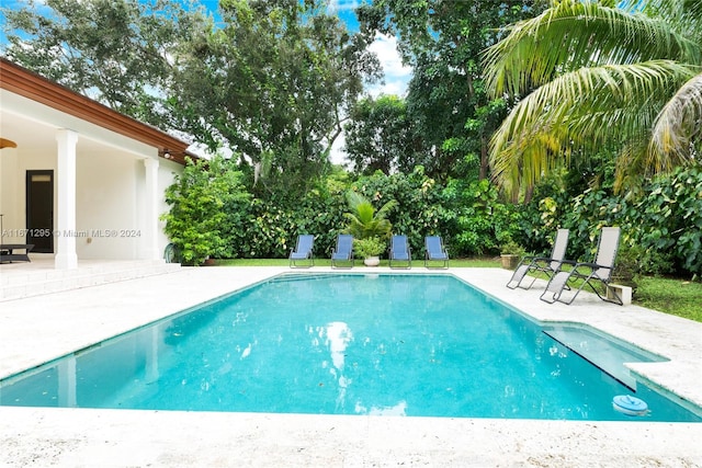 view of swimming pool with a patio