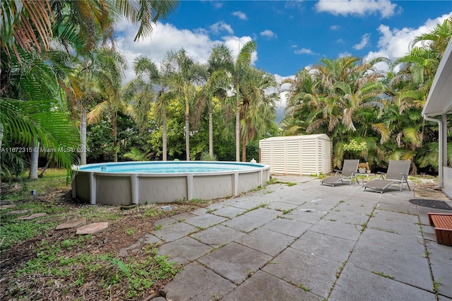 view of pool featuring a patio and a storage unit