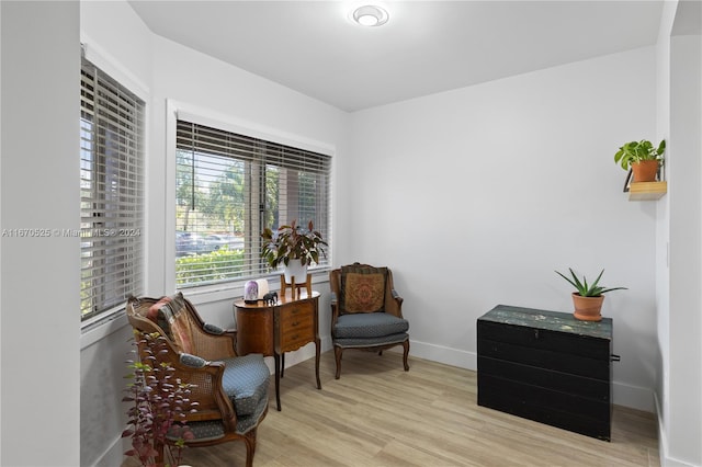 sitting room featuring light wood-type flooring