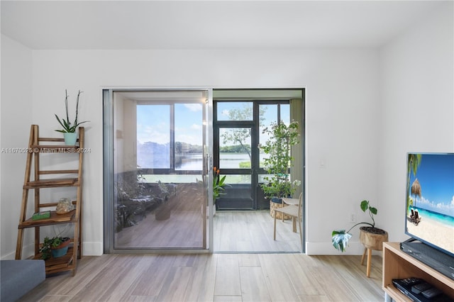 doorway with light hardwood / wood-style flooring