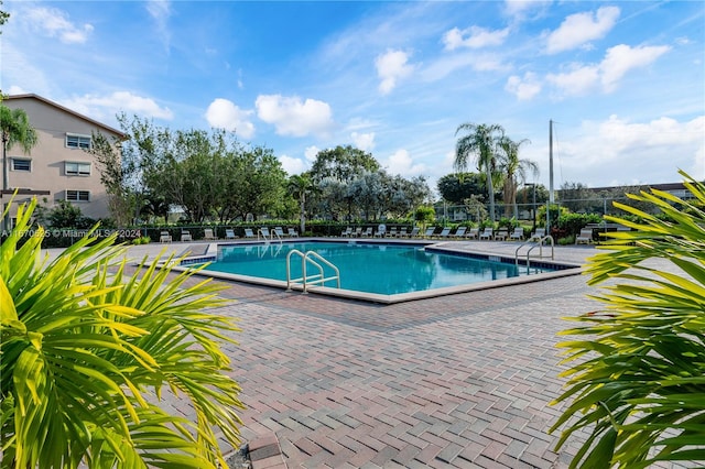 view of pool featuring a patio