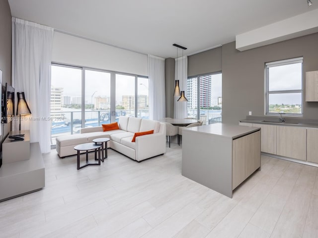 living room featuring light wood-type flooring, plenty of natural light, and sink