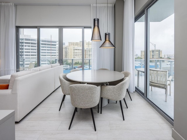 dining space with plenty of natural light