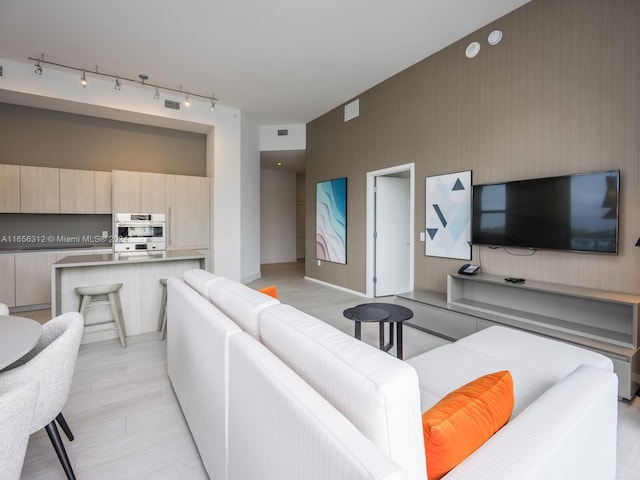 living room featuring rail lighting and light hardwood / wood-style flooring