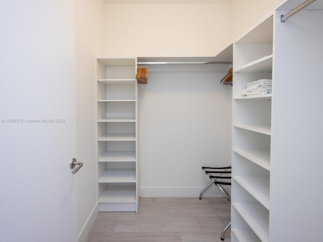 view of spacious closet