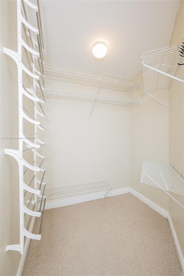 1745 E Hallandale Beach Blvd Unit 1804W, Hallandale Beach, FL 33009 - walk in closet with carpet flooring