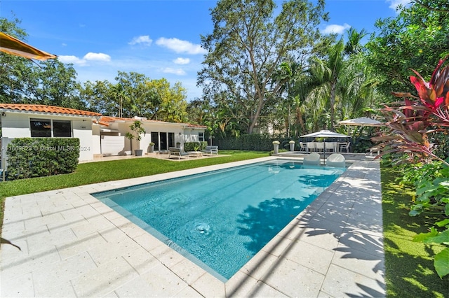 view of pool featuring a patio area and a yard