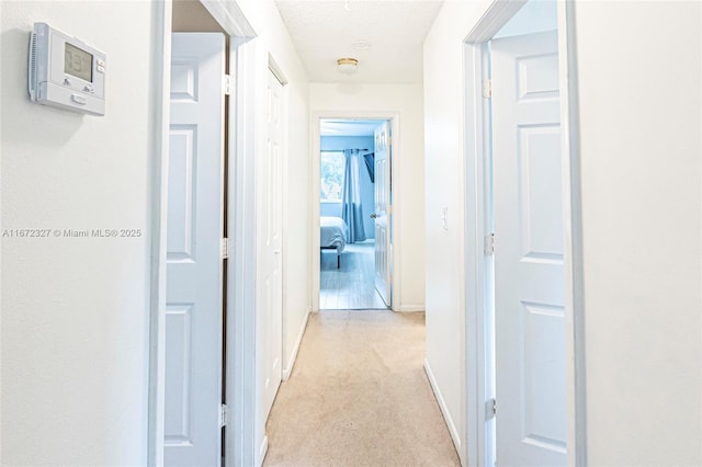 2913 Myrtle Oak Cir, Davie, FL 33328 - hall with light colored carpet and baseboards