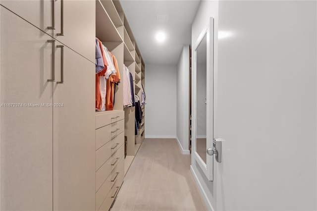 walk in closet featuring light hardwood / wood-style floors