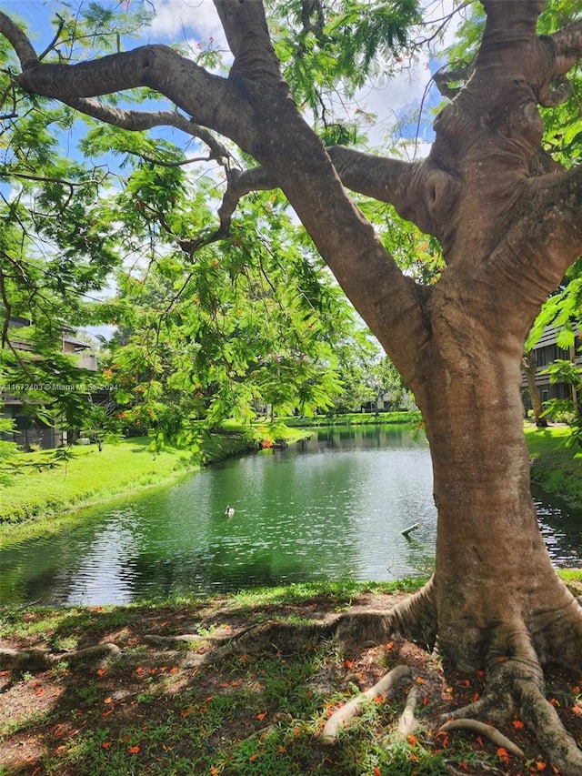 water view