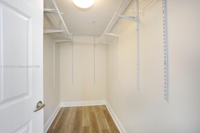 spacious closet featuring light hardwood / wood-style flooring