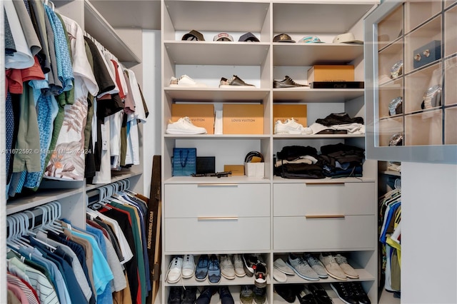 view of spacious closet