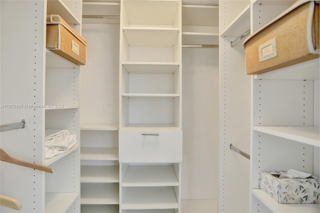 view of spacious closet