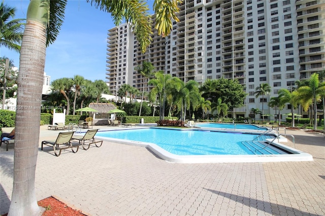 view of pool featuring a patio