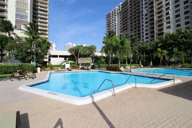 view of swimming pool with a patio