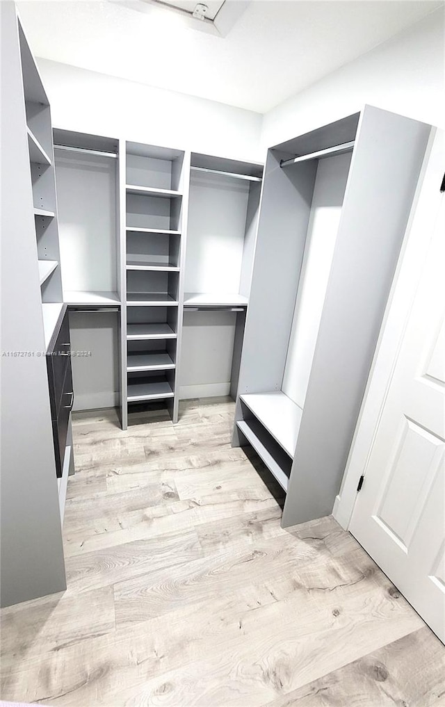 spacious closet with light wood-type flooring