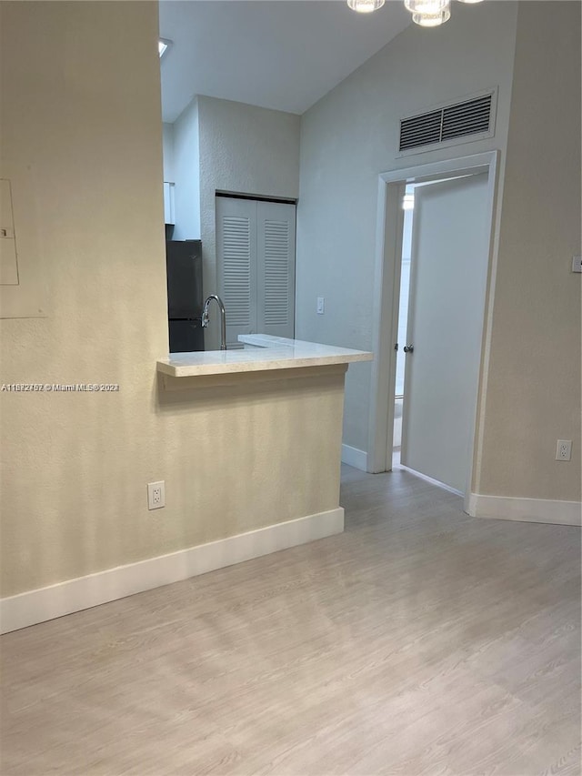 empty room featuring light wood-type flooring, lofted ceiling, and sink