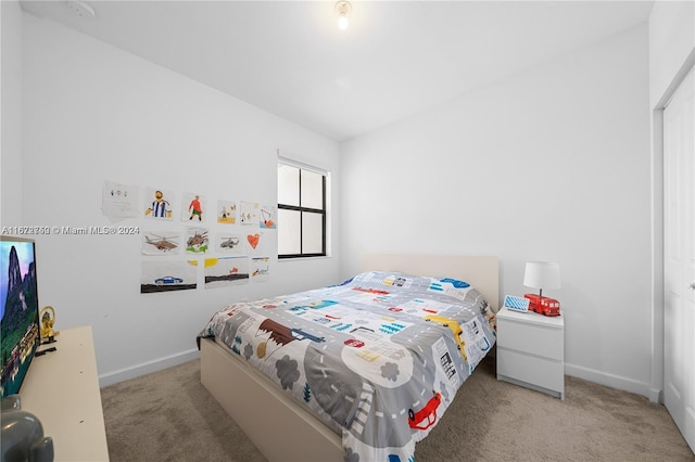 bedroom with carpet flooring