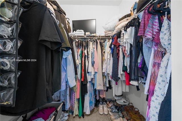 spacious closet featuring carpet flooring